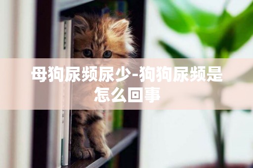 母狗尿頻尿少-狗狗尿頻是怎么回事