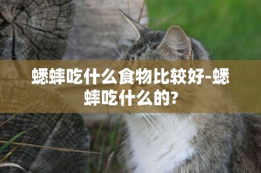 蟋蟀吃什么食物比較好-蟋蟀吃什么的?