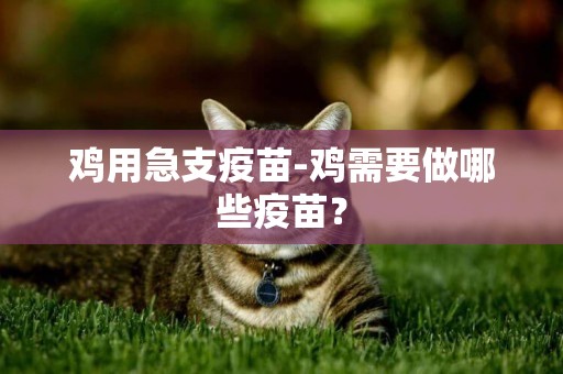 雞用急支疫苗-雞需要做哪些疫苗？