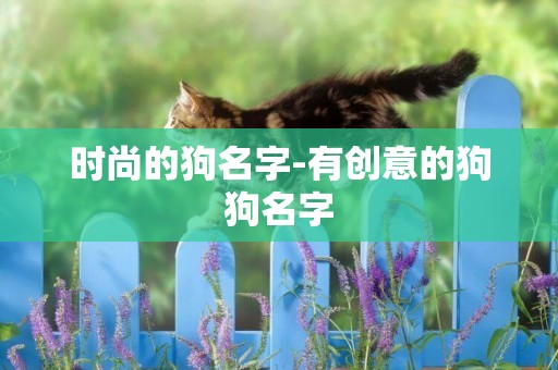時尚的狗名字-有創意的狗狗名字