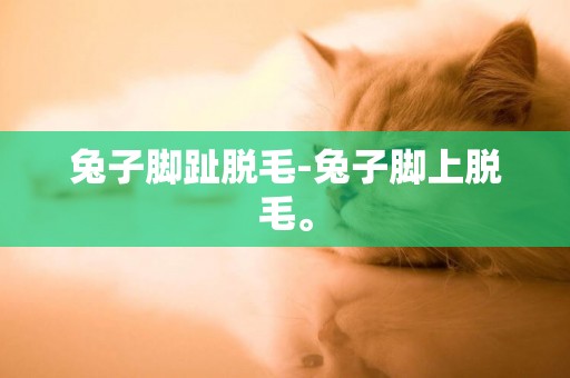 兔子腳趾脫毛-兔子腳上脫毛。