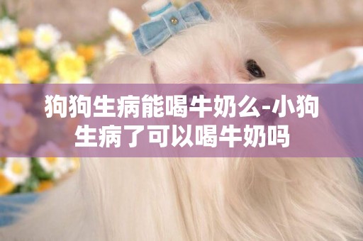 狗狗生病能喝牛奶么-小狗生病了可以喝牛奶嗎