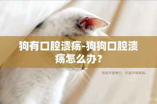 狗有口腔潰瘍-狗狗口腔潰瘍怎么辦？
