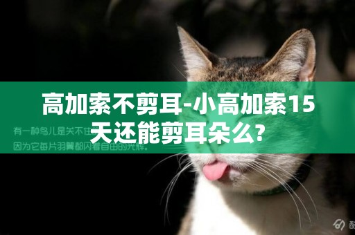 高加索不剪耳-小高加索15天還能剪耳朵么?