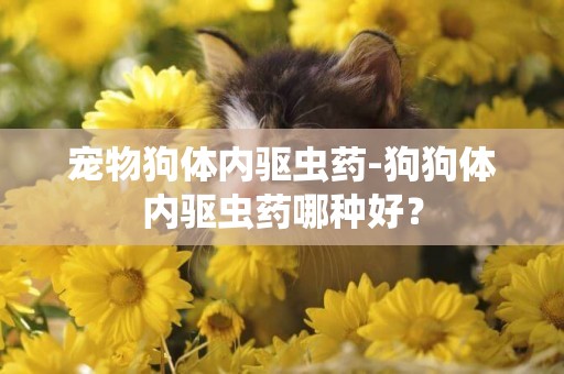 寵物狗體內驅蟲藥-狗狗體內驅蟲藥哪種好？