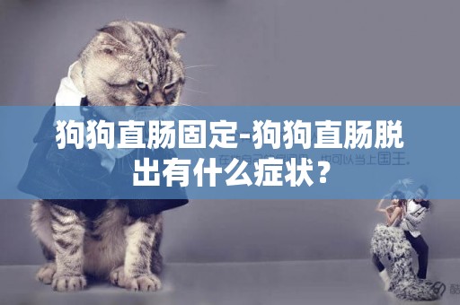 狗狗直腸固定-狗狗直腸脫出有什么癥狀？