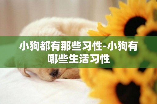 小狗都有那些習性-小狗有哪些生活習性