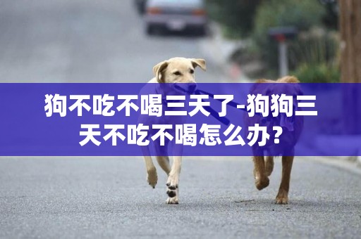 狗不吃不喝三天了-狗狗三天不吃不喝怎么辦？