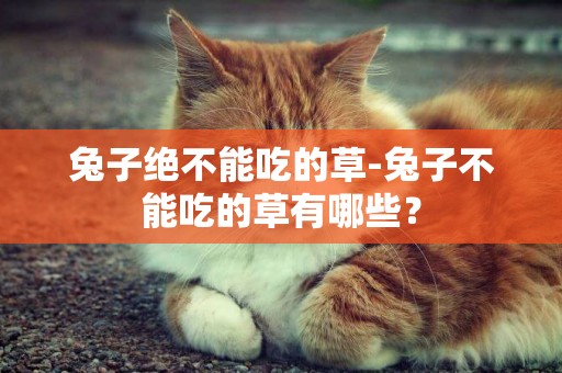 兔子絕不能吃的草-兔子不能吃的草有哪些？