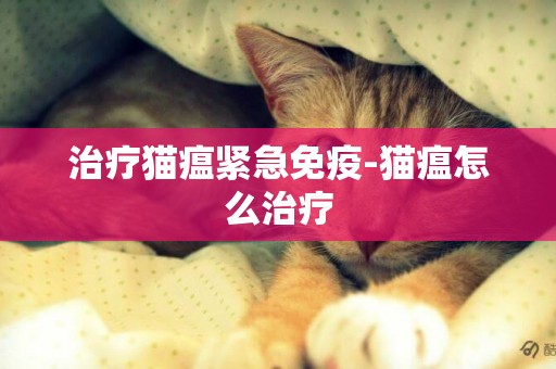 治療貓瘟緊急免疫-貓瘟怎么治療