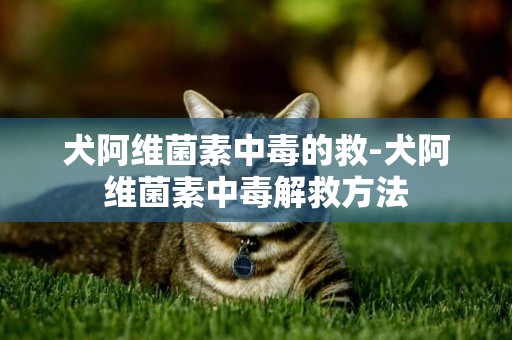 犬阿維菌素中毒的救-犬阿維菌素中毒解救方法
