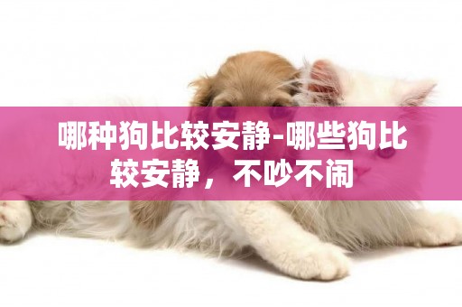 哪種狗比較安靜-哪些狗比較安靜，不吵不鬧