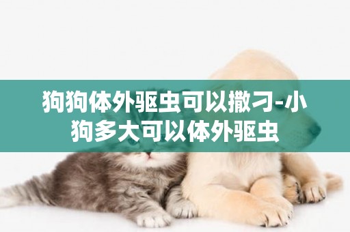 狗狗體外驅蟲可以撒刁-小狗多大可以體外驅蟲