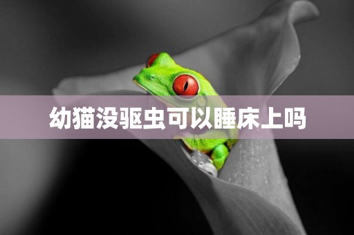 幼貓沒驅蟲可以睡床上嗎