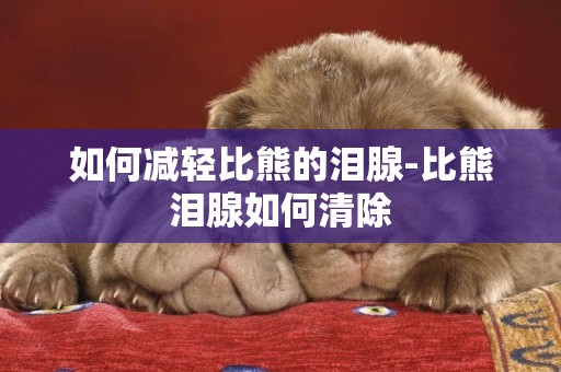 如何減輕比熊的淚腺-比熊淚腺如何清除
