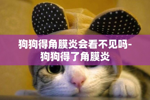 狗狗得角膜炎會看不見嗎-狗狗得了角膜炎