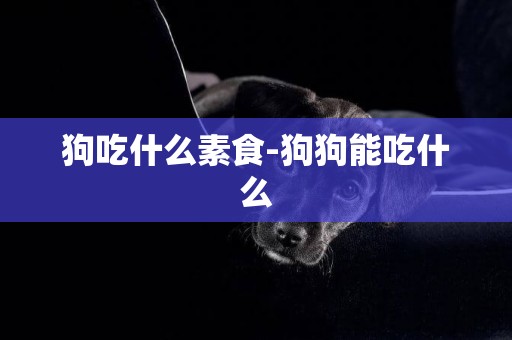 狗吃什么素食-狗狗能吃什么