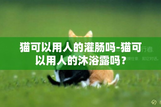 貓可以用人的灌腸嗎-貓可以用人的沐浴露嗎？