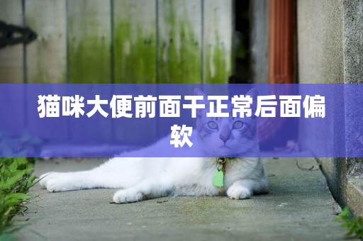 貓咪大便前面干正常后面偏軟