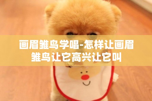 畫眉雛鳥學唱-怎樣讓畫眉雛鳥讓它高興讓它叫