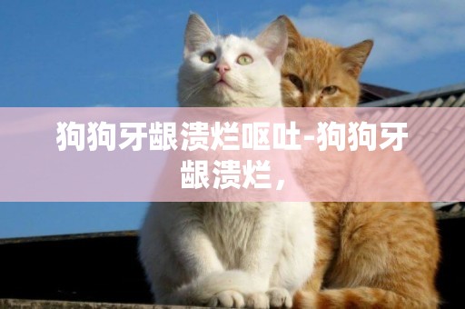 狗狗牙齦潰爛嘔吐-狗狗牙齦潰爛，
