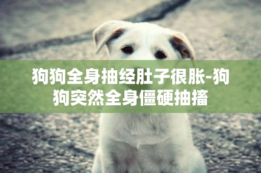 狗狗全身抽經肚子很脹-狗狗突然全身僵硬抽搐
