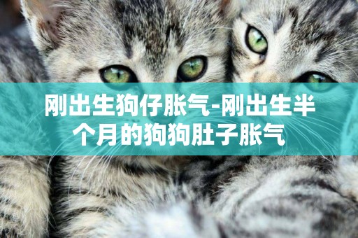 剛出生狗仔脹氣-剛出生半個月的狗狗肚子脹氣