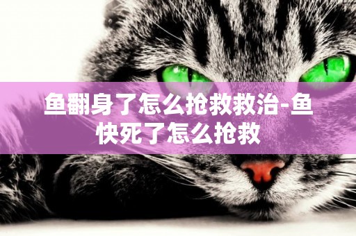 魚翻身了怎么搶救救治-魚快死了怎么搶救
