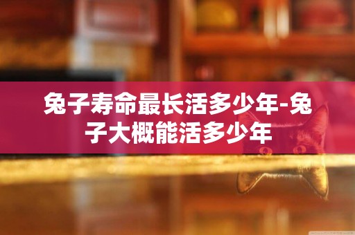 兔子壽命最長活多少年-兔子大概能活多少年