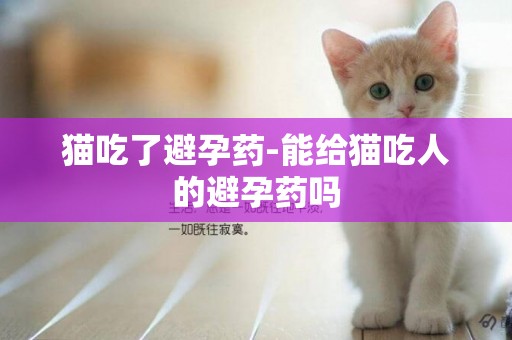 貓吃了避孕藥-能給貓吃人的避孕藥嗎