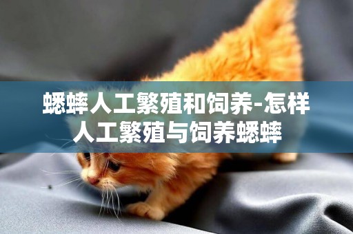 蟋蟀人工繁殖和飼養-怎樣人工繁殖與飼養蟋蟀