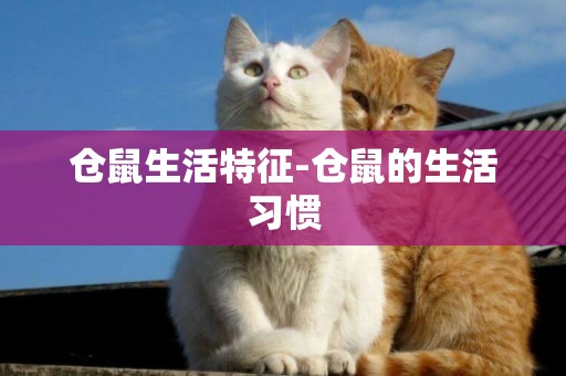 倉鼠生活特征-倉鼠的生活習慣