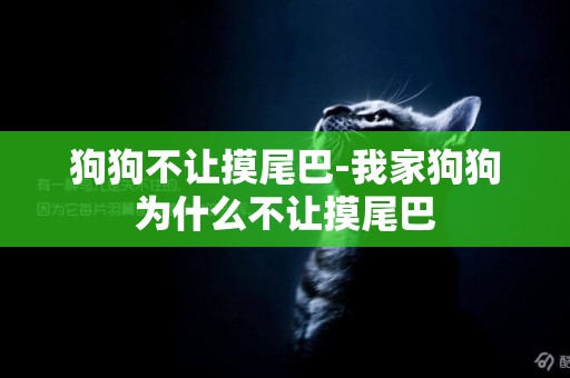 狗狗不讓摸尾巴-我家狗狗為什么不讓摸尾巴
