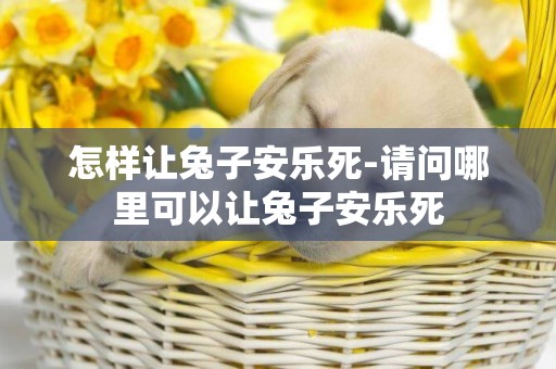 怎樣讓兔子安樂死-請問哪里可以讓兔子安樂死