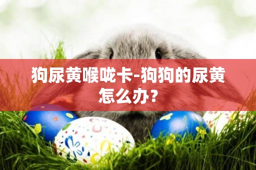 狗尿黃喉嚨卡-狗狗的尿黃怎么辦？
