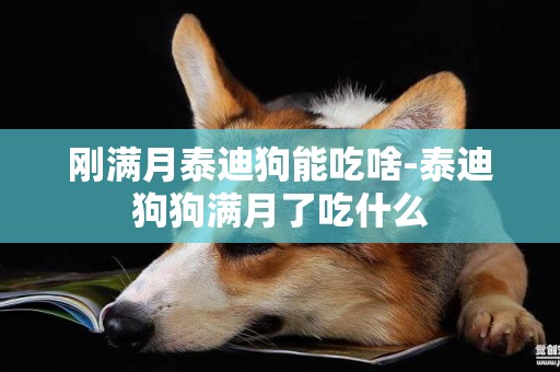 剛滿月泰迪狗能吃啥-泰迪狗狗滿月了吃什么