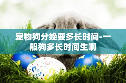 寵物狗分娩要多長時間-一般狗多長時間生啊