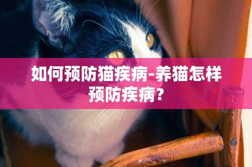 如何預防貓疾病-養貓怎樣預防疾病？