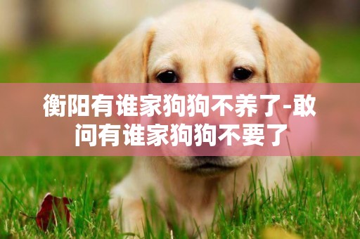 衡陽有誰家狗狗不養了-敢問有誰家狗狗不要了