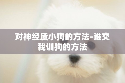 對神經質小狗的方法-誰交我訓狗的方法