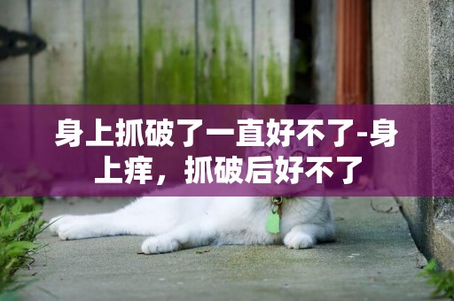 身上抓破了一直好不了-身上癢，抓破后好不了