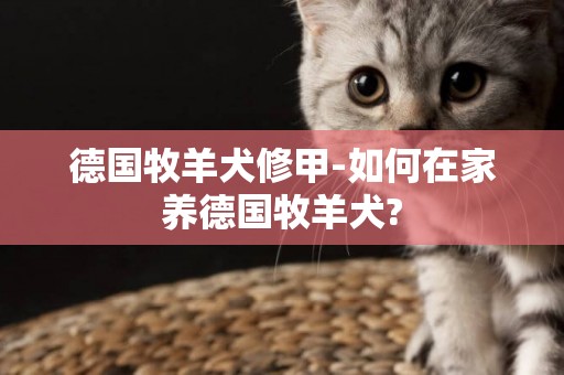德國牧羊犬修甲-如何在家養德國牧羊犬?