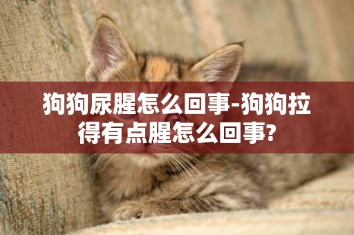 狗狗尿腥怎么回事-狗狗拉得有點腥怎么回事?
