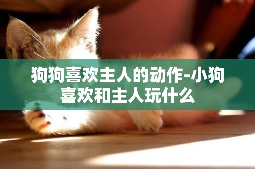 狗狗喜歡主人的動作-小狗喜歡和主人玩什么