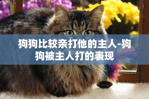狗狗比較親打他的主人-狗狗被主人打的表現