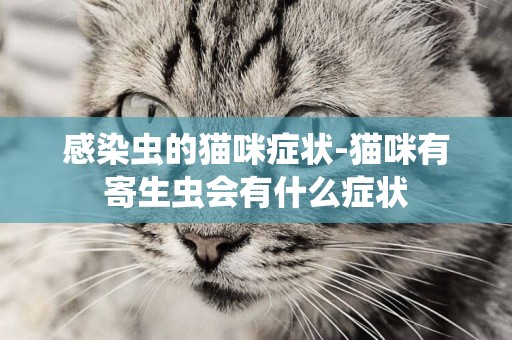 感染蟲的貓咪癥狀-貓咪有寄生蟲會有什么癥狀