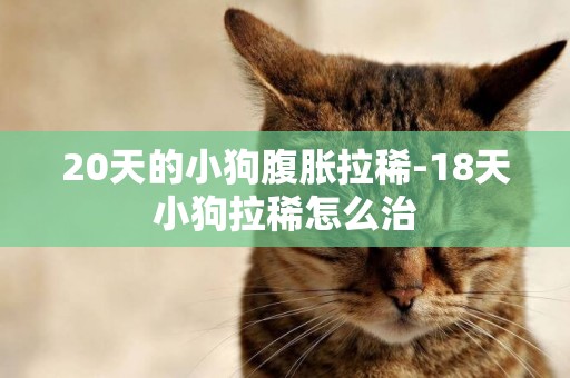20天的小狗腹脹拉稀-18天小狗拉稀怎么治