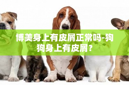 博美身上有皮屑正常嗎-狗狗身上有皮屑？