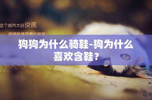 狗狗為什么騎鞋-狗為什么喜歡含鞋？