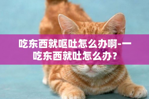 吃東西就嘔吐怎么辦啊-一吃東西就吐怎么辦？